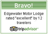 Trip Advisor